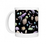 Photo Mug of Mixture of flower and grass seeds, SEM from Science Photo Library