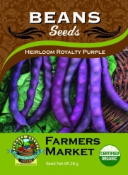 Organic Heirloom Royalty Purple Bush Beans Seeds