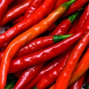 Cayenne Red Long Pepper - 100 Seeds -GARDEN FRESH PACK!
