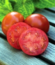 Sweetie Seedless Hybrid Tomato 10 Seeds - Juicy/Tasty
