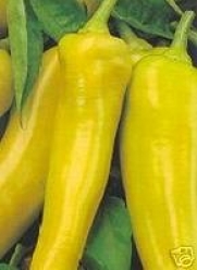 Pepper Sweet Banana Great Heirloom Vegetable 100 Seeds