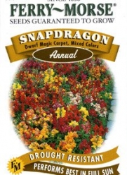Ferry-Morse 1142 Snapdragon Annual Flower Seeds, Dwarf Magic Carpet, Mixed Colors (100 Milligram Packet)