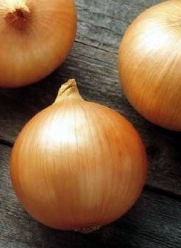 Hybrid Candy Onion - 50 Seeds - Incredibly Sweet & Mild