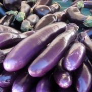 40 Seeds, Eggplant Long Purple (Solanum melongena) Seeds By Seed Needs)
