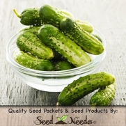 30 Seeds, Cucumber Boston Pickling (Cucumis sativus) Packaged By Seed Needs
