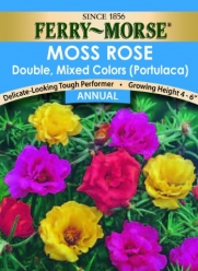 Ferry-Morse Annual Flower Seeds 1095 Moss Rose - Double Mixed Colors 300 Milligram Packet