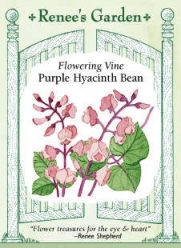 Purple Hyacinth Bean Flowering Vine Seeds