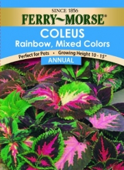 Ferry-Morse 1034 Coleus Annual Flower Seeds, Rainbow Mixed Colors (100 Milligram Packet)