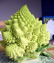 Broccoli Romanesco 50 Seeds per Packet - Rare & Unique