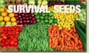 Emergency Food Survival Seed 52 Variety 33,000 Organic 2012