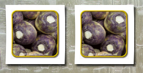 Everwilde Farms, Inc. 1 oz rutabaga seeds 'american purple top' bulk vegetable seeds
