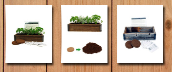 Herb Kits reclaimed barnwood planter box mini herb garden kit grow cooking herbs from seed: basil, dill, thyme, parsley, oregano, cilantro