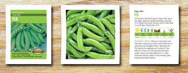 Cornucopia Seeds pea sugar ann seeds