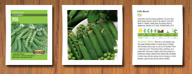 Cornucopia Seeds pea little marvel seeds
