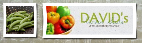 David's Garden Seeds pea sugar snap 200 organic seeds by 